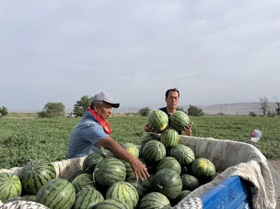 威海高区吃瓜,夏日吃瓜盛宴，品味生活新滋味