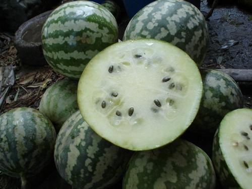 青皮大圆瓜怎么吃,青皮大圆瓜的多彩食法探索