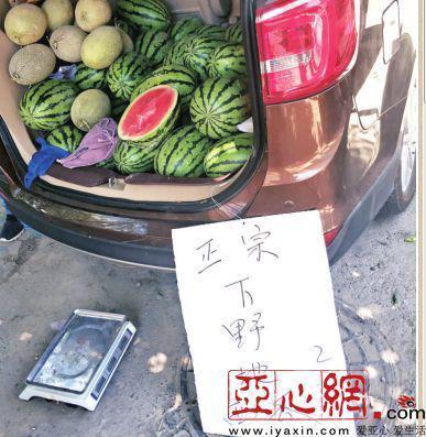 边吃西瓜边讲瓜,边吃西瓜边讲瓜的故事与智慧