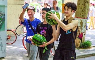 学校爆料吃瓜,揭秘校园爆料背后的吃瓜真相