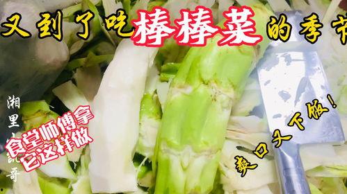 桐乡沈老师吃瓜,一场校园风波背后的真相