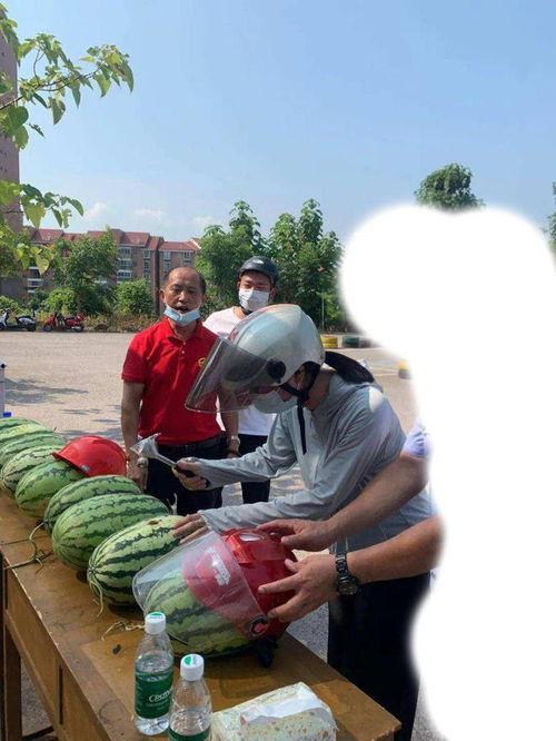 江门最新吃瓜事件,揭秘网络热议事件背后的真相