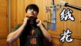 硬核吃瓜的杨某人,揭秘娱乐圈背后的真实故事