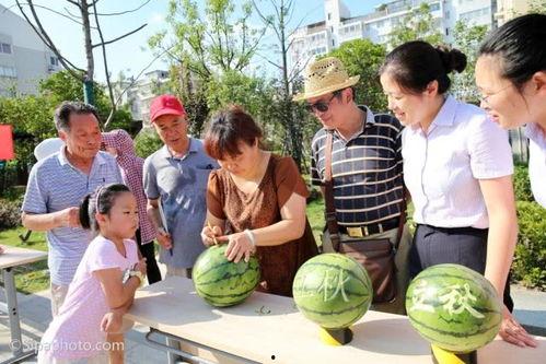 吃瓜的季节怎样挑熟瓜呢,吃瓜季节的挑瓜攻略