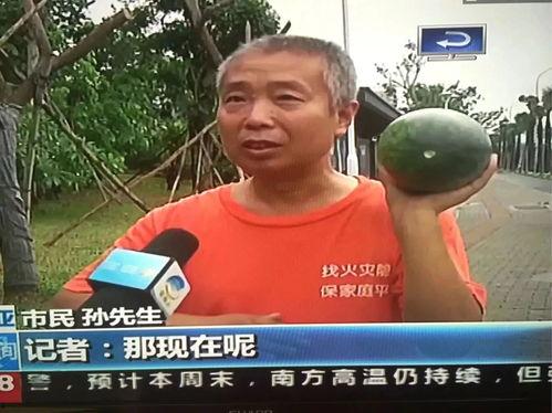 惠水吃瓜群众事件,网络围观下的社会现象解析