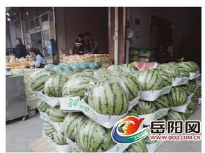 吃瓜群众水果店,品味夏日鲜果，尽享健康生活