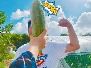 财经瓜友们吃瓜了,吃瓜背后的财经风云