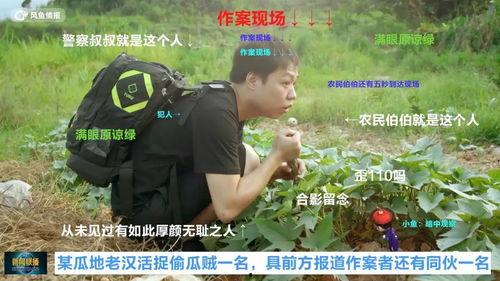 抓犯人吃瓜群众,吃瓜群众见证正义瞬间