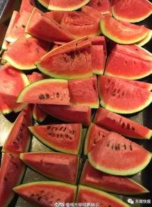 浙农林吃瓜,瓜香四溢，欢乐无限