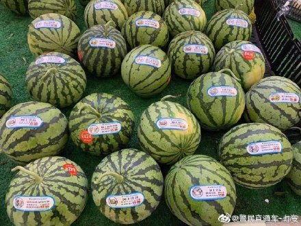 反吃瓜图片,网络舆论场的新动向