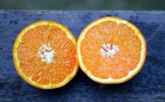 今天吃橙子吗的瓜,吃橙子吗？橙子背后的健康秘密大揭秘