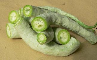 怀孕可以吃蛇瓜吗,蛇瓜在孕期是否适宜食用