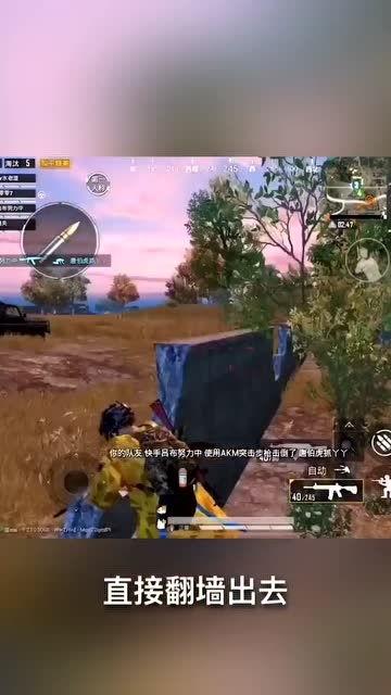 带你吃瓜和平精英,揭秘和平精英背后的精彩故事