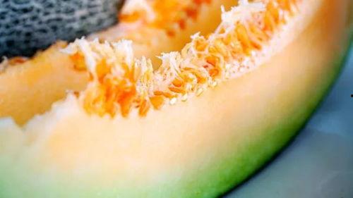 吃哈密瓜吃到爽,尽享甜蜜爽口的味蕾之旅