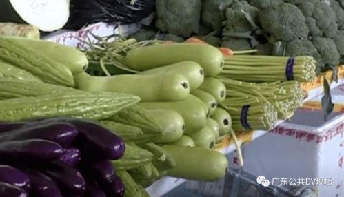 滨州吃瓜中毒,夏日美食变惊魂，健康警示记心间