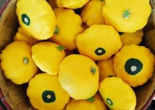 飞碟瓜怎么吃最好