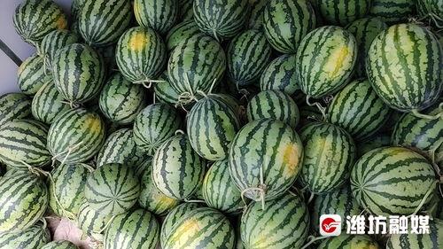 沂水二楼吃瓜,揭秘吃瓜群众的欢乐盛宴