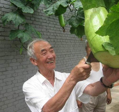 吃瓜递刀,揭秘娱乐圈幕后真相