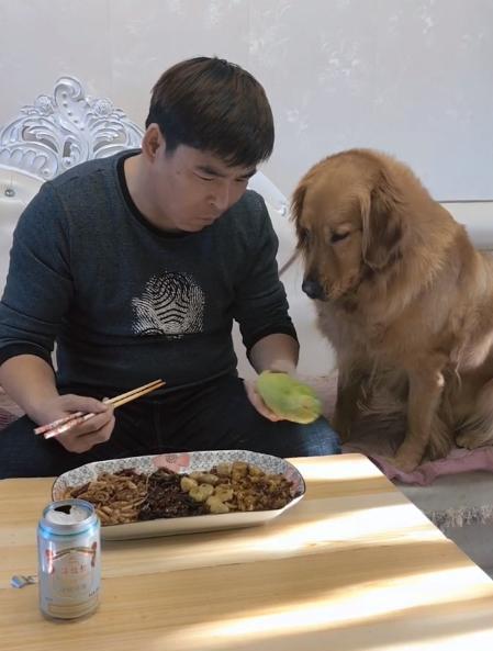 主人吃瓜狗吃瓜皮的故事,主人与狗的欢乐吃瓜时光