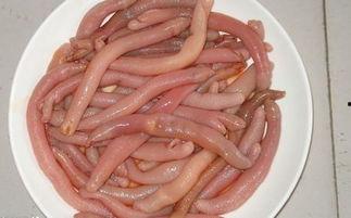 吃瓜吃海肠,揭秘吃瓜背后的海洋美味传奇