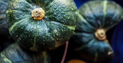 爆炸瓜吃不好吃,揭秘美味瓜果挑选与食用技巧