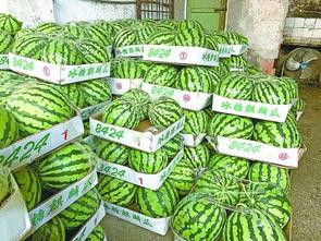 武汉吃瓜群,揭秘城市生活百态的“瓜田”